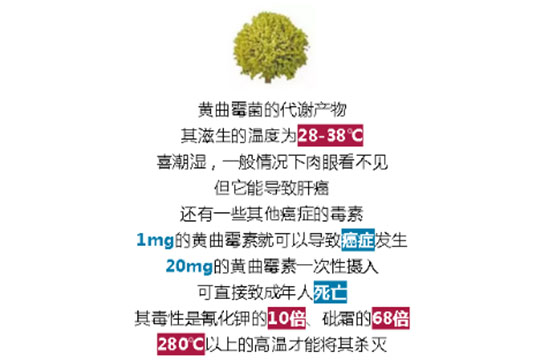 全自動洗碗機洗消烘干一體機